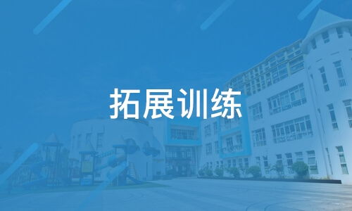 青岛比邻奈尔企业管理咨询及旗下淘学培训服务的综合评析