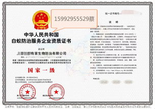 深圳教育咨询服务 专业导航，助力学子与家庭的教育成长之路